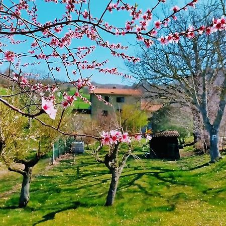 B&B Luna E Stelle Premilcuore Eksteriør bilde