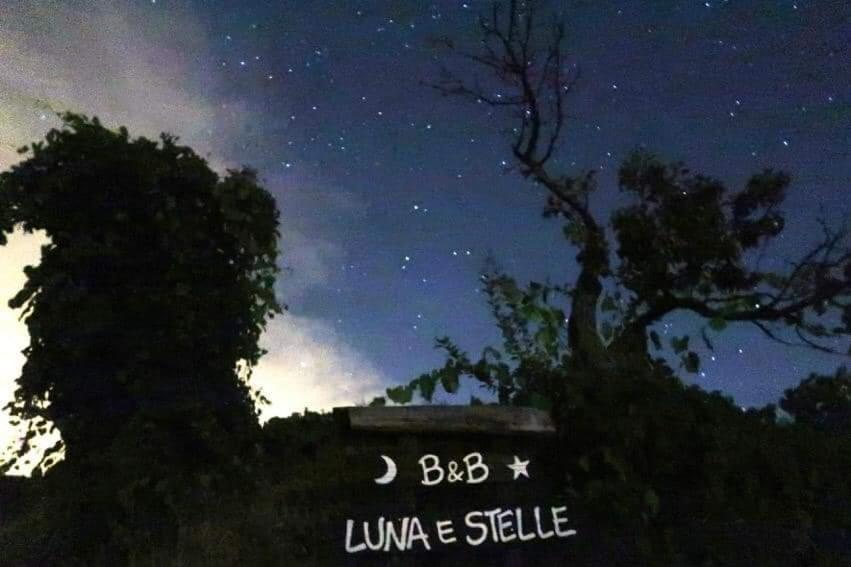 B&B Luna E Stelle Premilcuore Eksteriør bilde