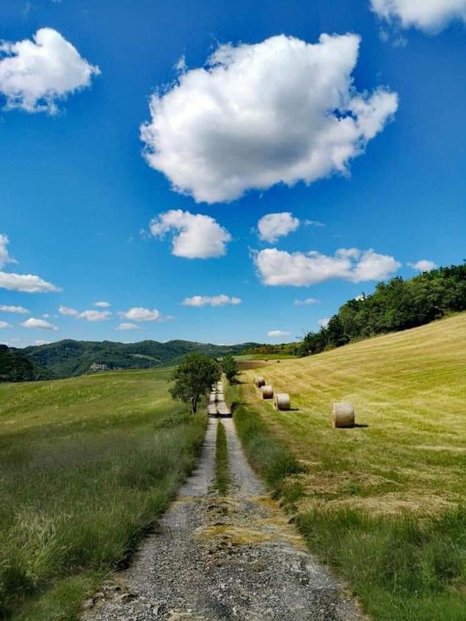 B&B Luna E Stelle Premilcuore Eksteriør bilde