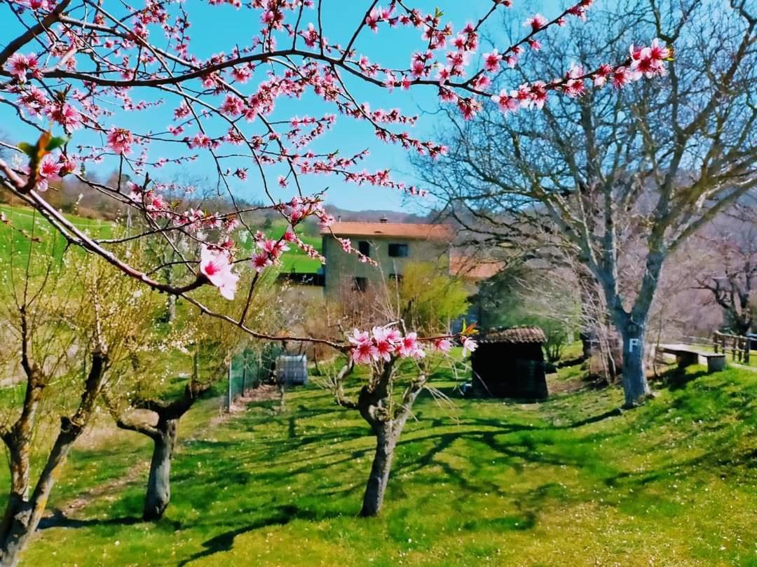 B&B Luna E Stelle Premilcuore Eksteriør bilde