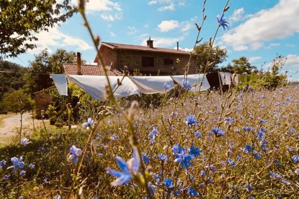 B&B Luna E Stelle Premilcuore Eksteriør bilde